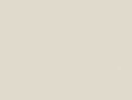 U655 CST Mushroom Beige 