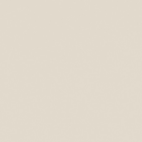 U655 CST Mushroom Beige 