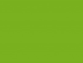 Formica HPL F6901 Vibrant green Matte (58)