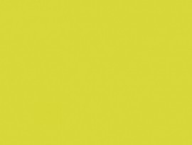 Formica HPL F8755 Lemon Matte (58)