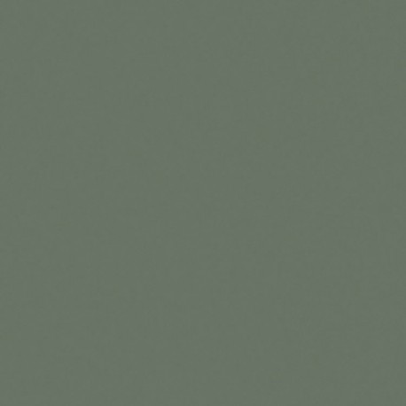 Formica HPL F8793 Green Slate Matte (58) + folie