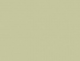 Unilin ABS kantenband 0U817 BST Lichen green zonder lijm