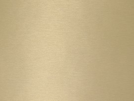 Homapal HPL 794 Alu Brushed Goldtone Special + folie