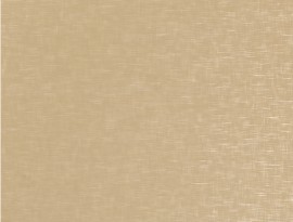 Homapal HPL 434 Alu Crossbrushed Goldtone + folie