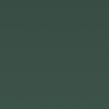 Homapal HPL 211/000U Melamine green matt NON Magnetic + folie