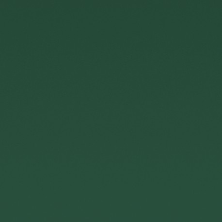 Homapal HPL 8211 Magnetic Board Green Matt  + folie