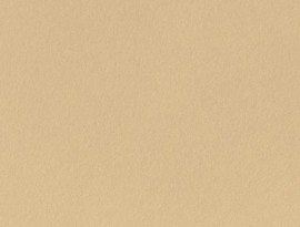 Formica HPL F6352 Frosted gold Gloss + folie