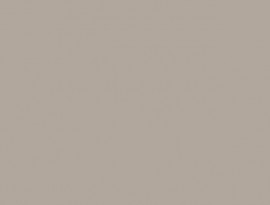Fenix NTM BLOOM 0748 Beige Arizona FSC Mix credit + folie