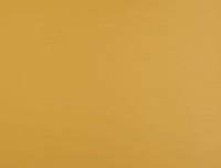 Fenix NTM BLOOM 0772 Giallo Kashmir