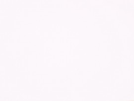 Fenix NTM BLOOM 0030 Bianco Alaska FSC Mix credit + folie