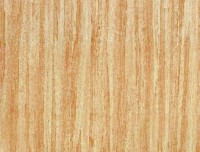 Formica HPL F5371 Accent Maple  NAT