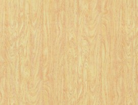 Formica HPL F7921 Birch Matte (58)