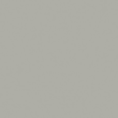 Formica HPL F7961 Colorcore Fog Matte (58) + folie