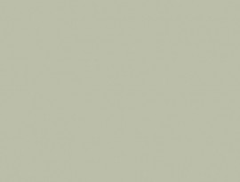 Formica HPL F5344 Colorcore Seed Matte (58) + folie
