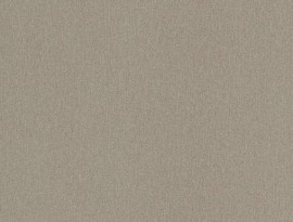 Formica HPL F8859 Vintage brush Matte (58)