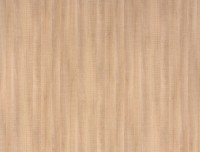Unilin Evola ABS H399 W03 Canice Oak zonder lijm
