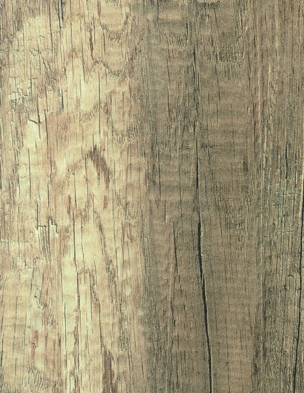 Abet HPL 669 Root Rovere primitivo