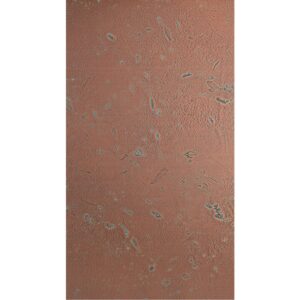 Homapal HPL 635/502 Copper Moon Turquoise + folie