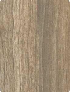 Abet HPL 668 Root Apple tree