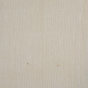 Esdoorn Europees massief paneel met doorgaande lamel