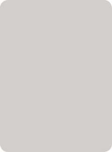 Abet HPL Polaris 2910 Gris clair pol Black Kraft/ L. grijs