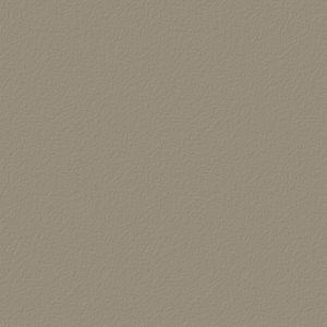 Abet HPL 868 Climb Full Colour Grigio medio