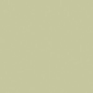 Unilin ABS kantenband 0U817 BST Lichen green  zonder lijm