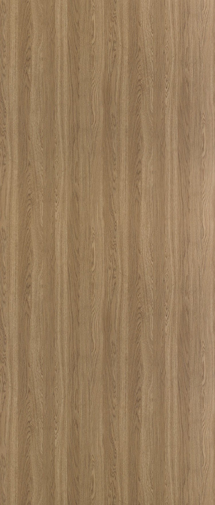 Formica HPL F5887 Millennium oak Puregrain Formica HPL F5887 Millennium oak Puregrain