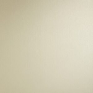 Homapal HPL 325 Alu Brushed Champagne SRM + folie