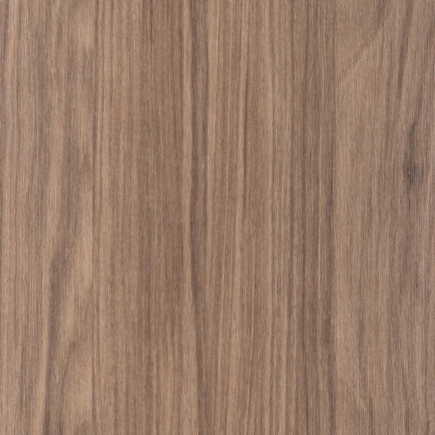 Abet HPL 1962 Root Aurora svezia - Afbeelding 2