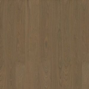 Alternative view of Kantfineer Nuxe Monarch