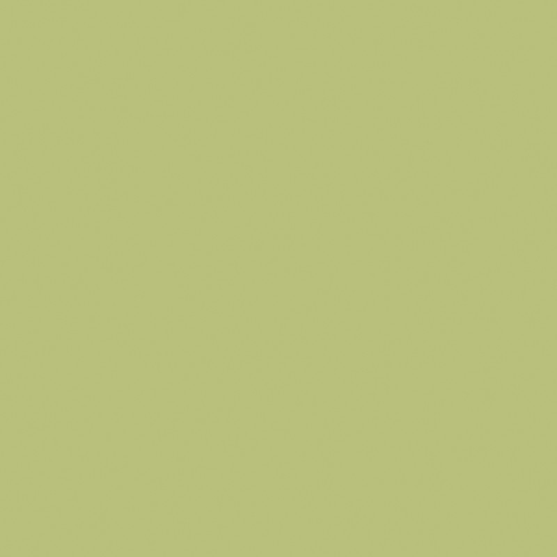 Formica HPL F3007 Pale Olive Matte (58)