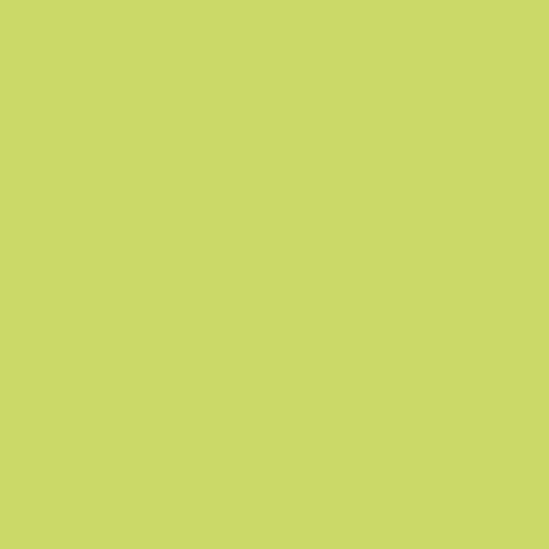 Formica HPL F4177 Lime Matte (58)