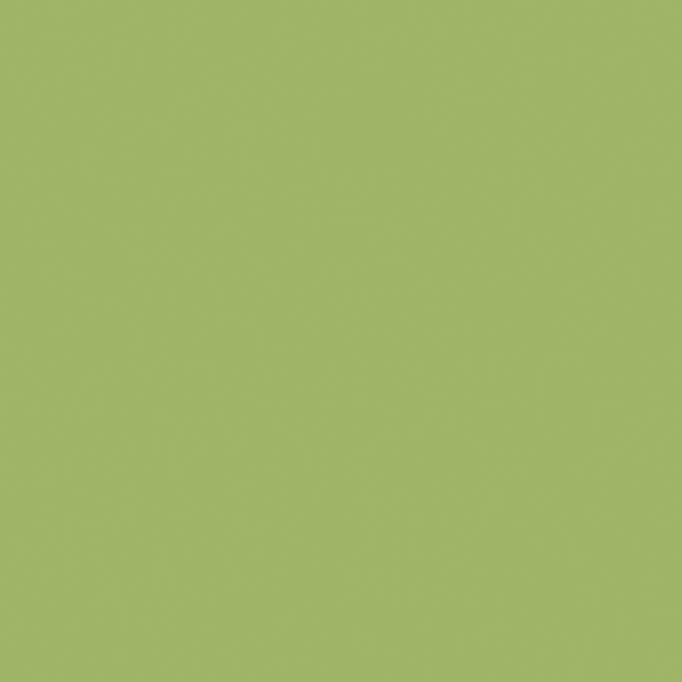 Formica HPL F8820 Leaf green Matte (58)