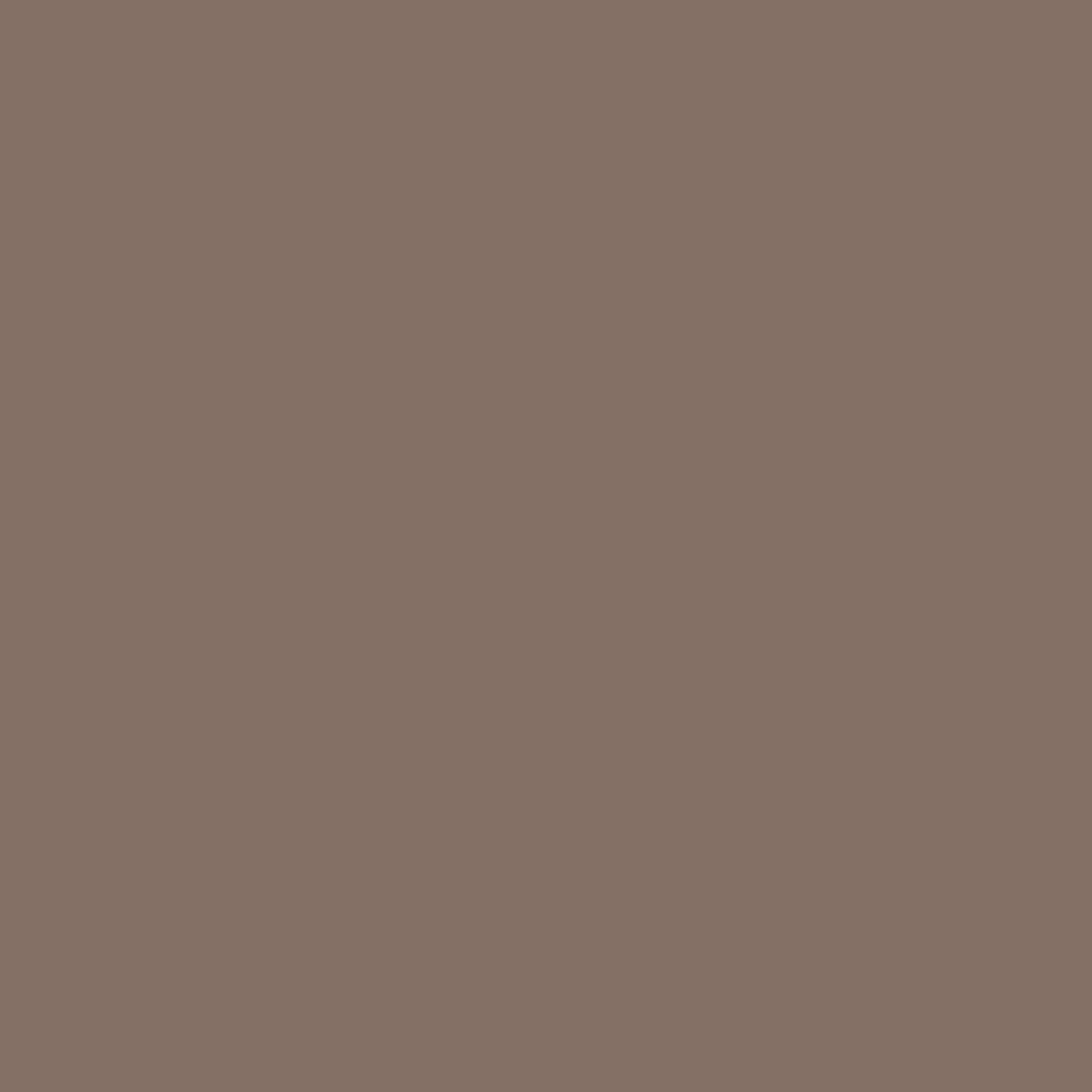 Formica HPL F5342 Earth Satin NDF + folie