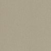 Formica HPL F8837 Brushed zinc Matte (58)