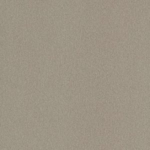 Formica HPL F8859 Vintage brush Matte (58)
