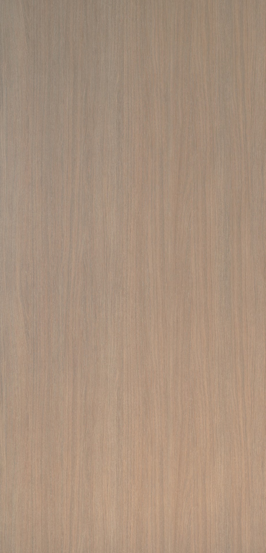 Unilin HPL 0H864 BST Fiji oak Unilin HPL 0H864 BST Fiji oak