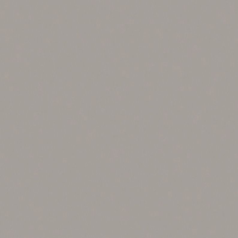 Basic Formica HPL F8178 Through Color Platinum Shell + folie