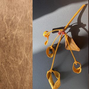 Alternative view of Kantfineer Imbuia zonder lijm