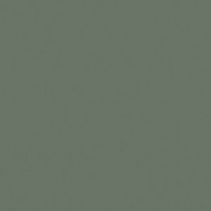 Formica HPL F8793 Green slate Matte (58)