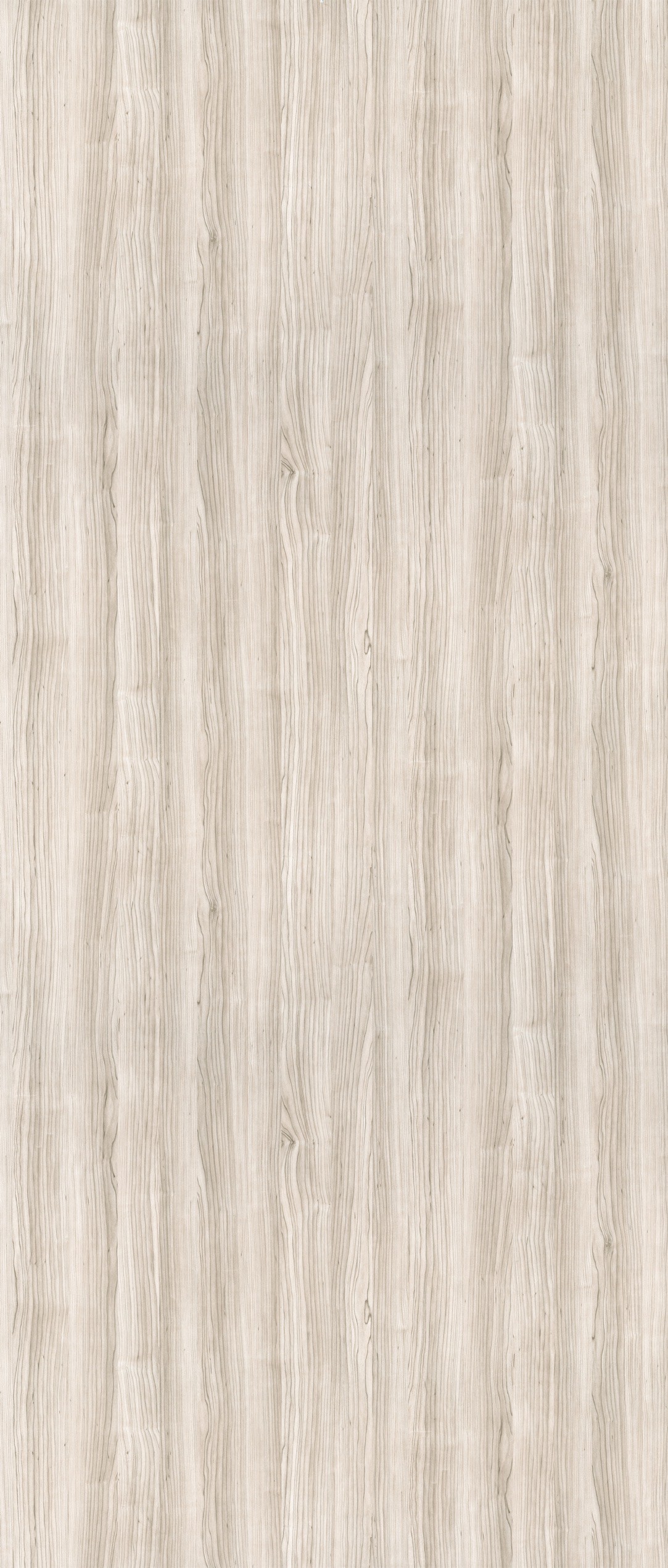 Abet HPL 619 Papier Grey maple - Afbeelding 2 Abet HPL 619 Papier Grey maple - Afbeelding 2