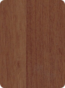 Abet HPL 1365 Grainwood Noce top