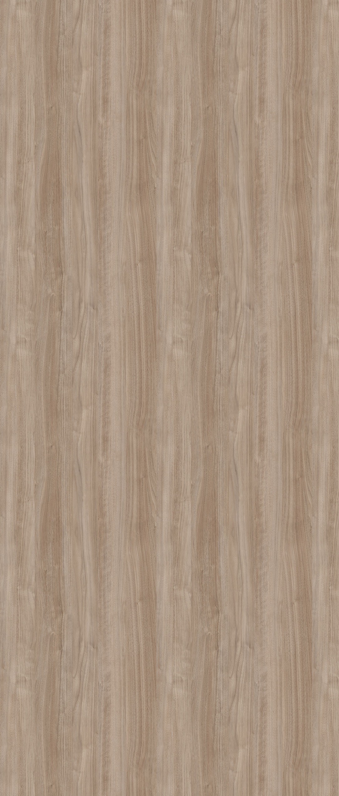 Abet HPL 1948 Root Aurora argentina - Afbeelding 3 Abet HPL 1948 Root Aurora argentina - Afbeelding 3