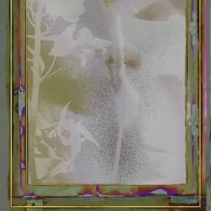 Alternative view of Abet HPL Palaces Dahlia et delphinium